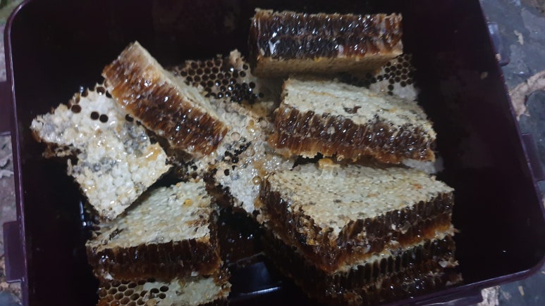 설통신 이미지