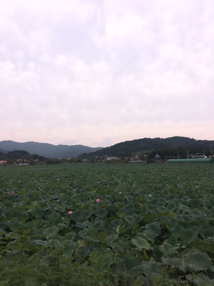 오브제토 이미지