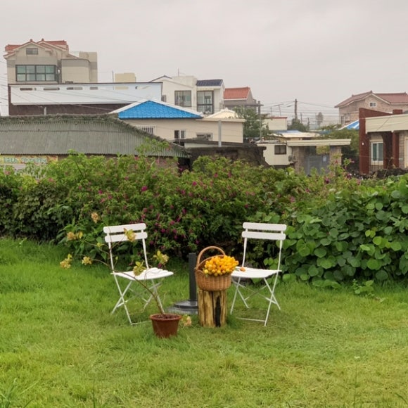 인그리드 이미지