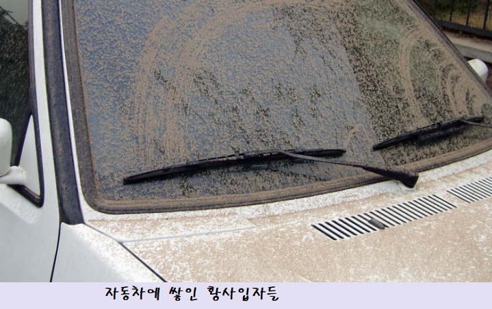 창문애 이미지