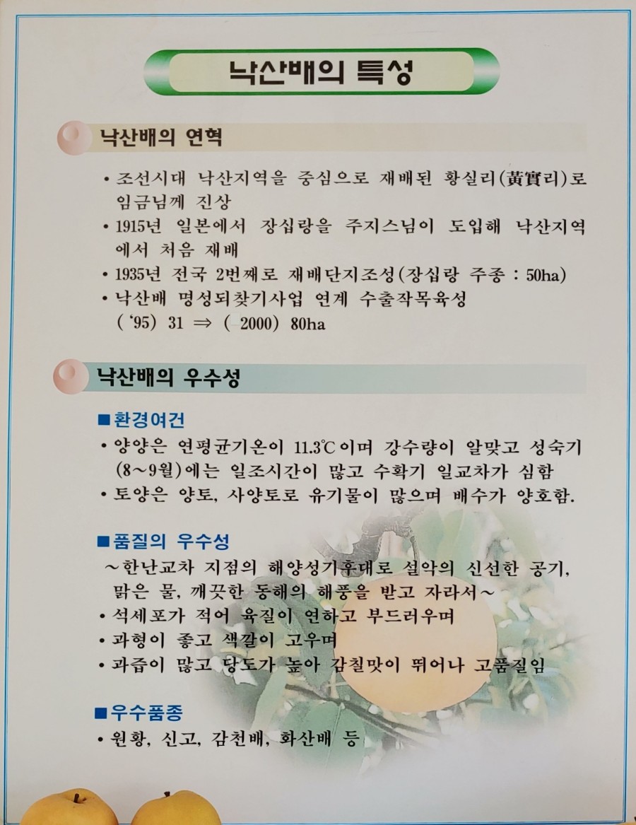 낙산코너 이미지