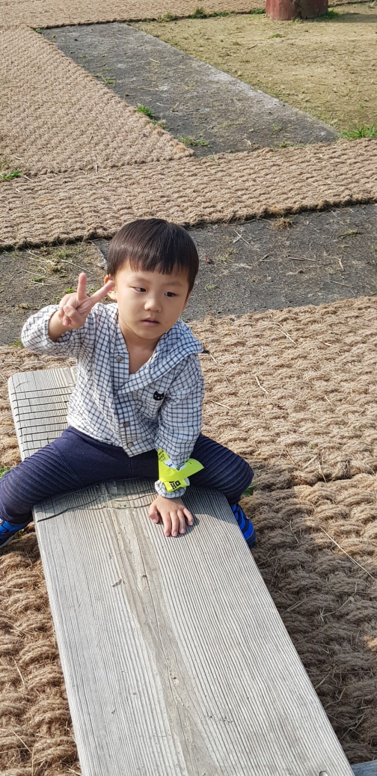 벚우 이미지