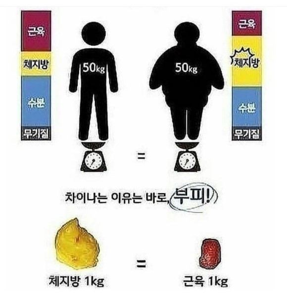 스피닝&점핑 이미지
