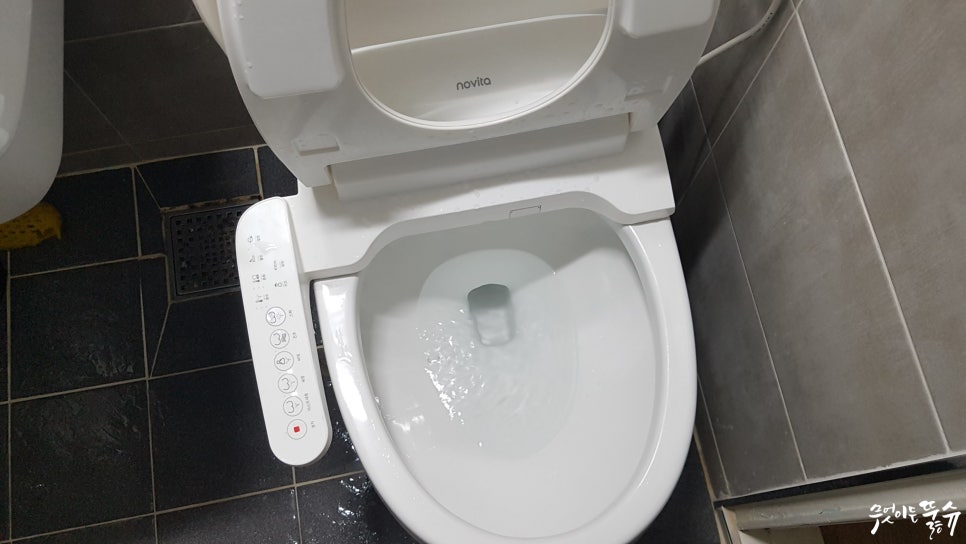 서부꼬지 이미지