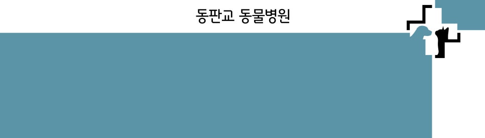 강아지 알러지성 피부질환 치료후 재진 [동판교 동물병원] : 네이버 블로그