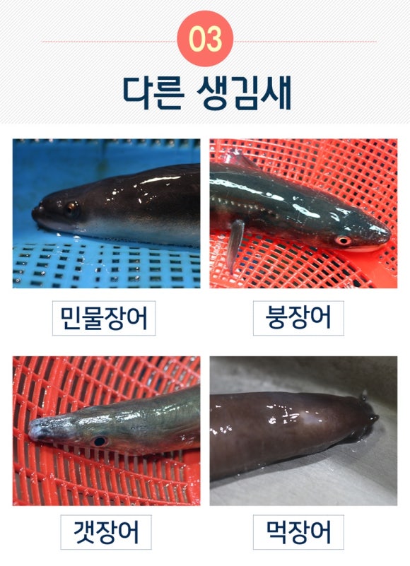 목천장어 이미지