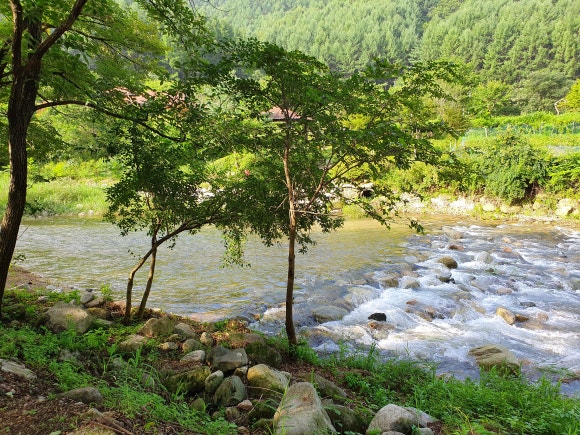 모야의숲캠핑장 이미지