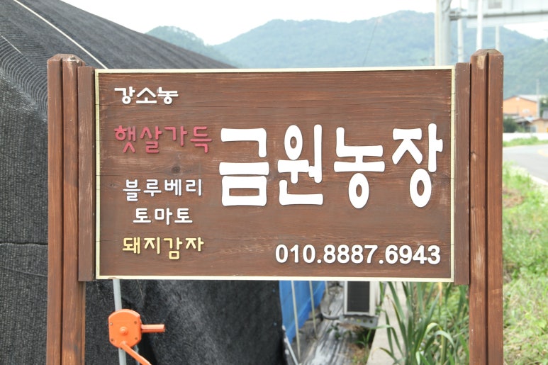 마인드푸드협동조합 이미지