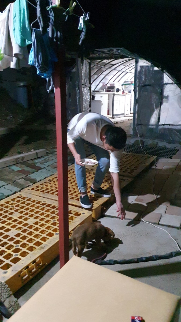 대우농기계총판 이미지