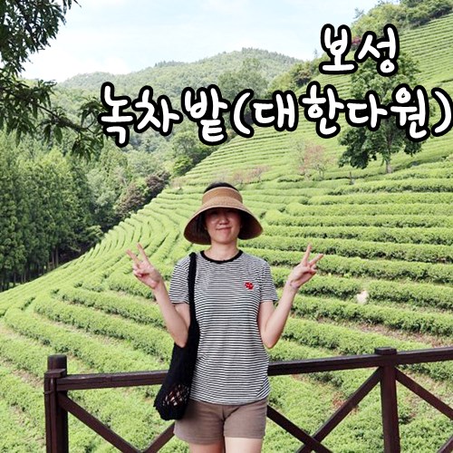 보성회수산 이미지