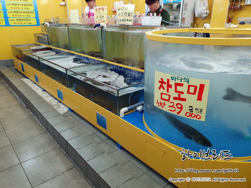 광어1마리 18000 이미지