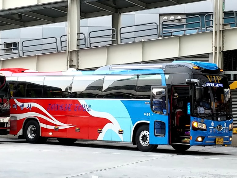 광주동양여행사 이미지