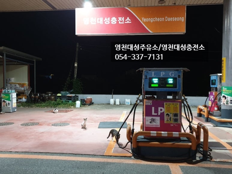 대성주유소 이미지