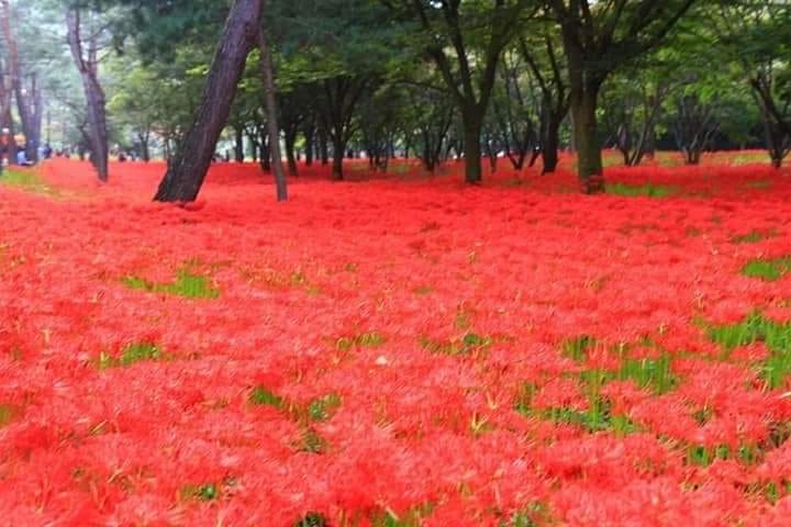 산책펜션 이미지