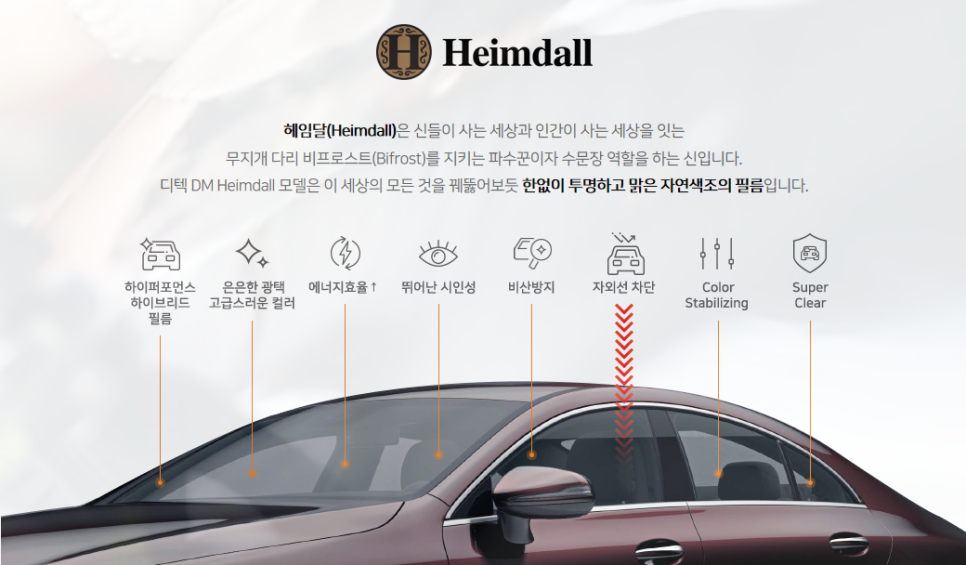 디텍 이미지