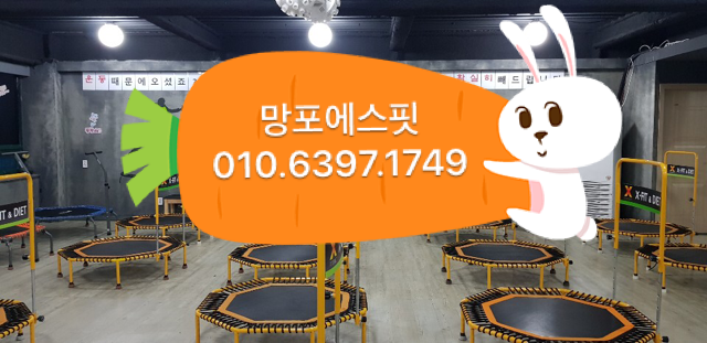 점핑썬 이미지