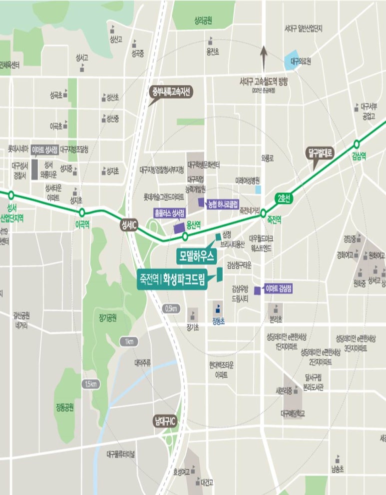 드림정보주 이미지