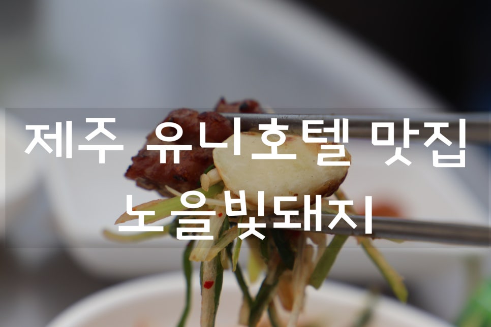 노을빛돼지 이미지