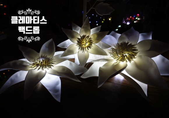 형형색(주) 이미지