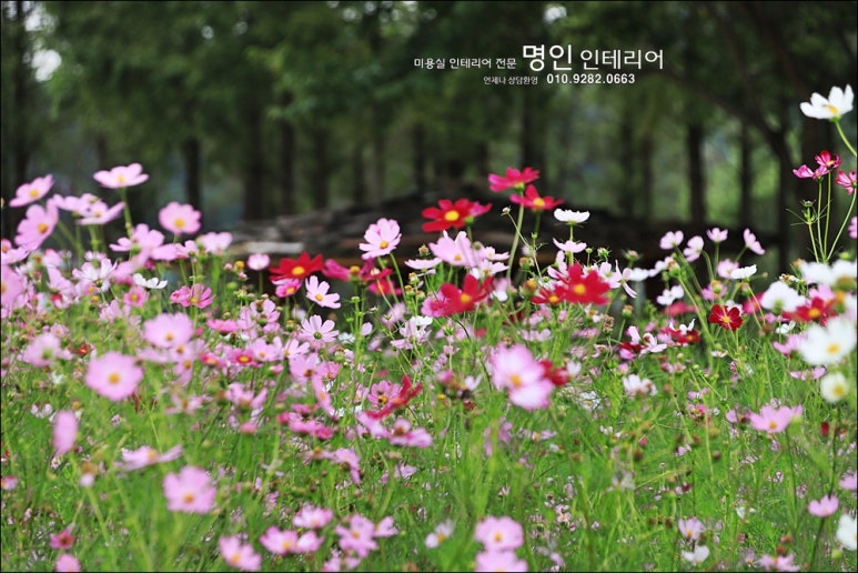 명인미용실 이미지
