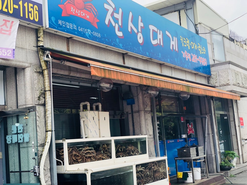 천상대게용인 이미지
