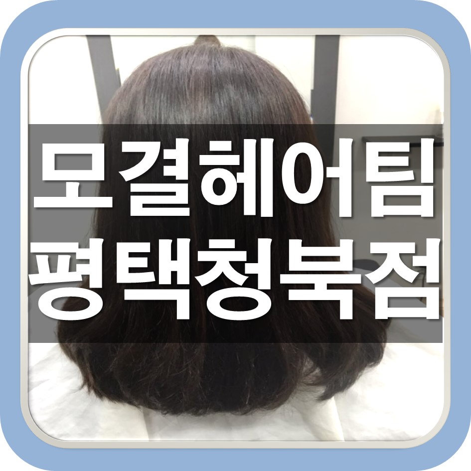 송담미용실 이미지