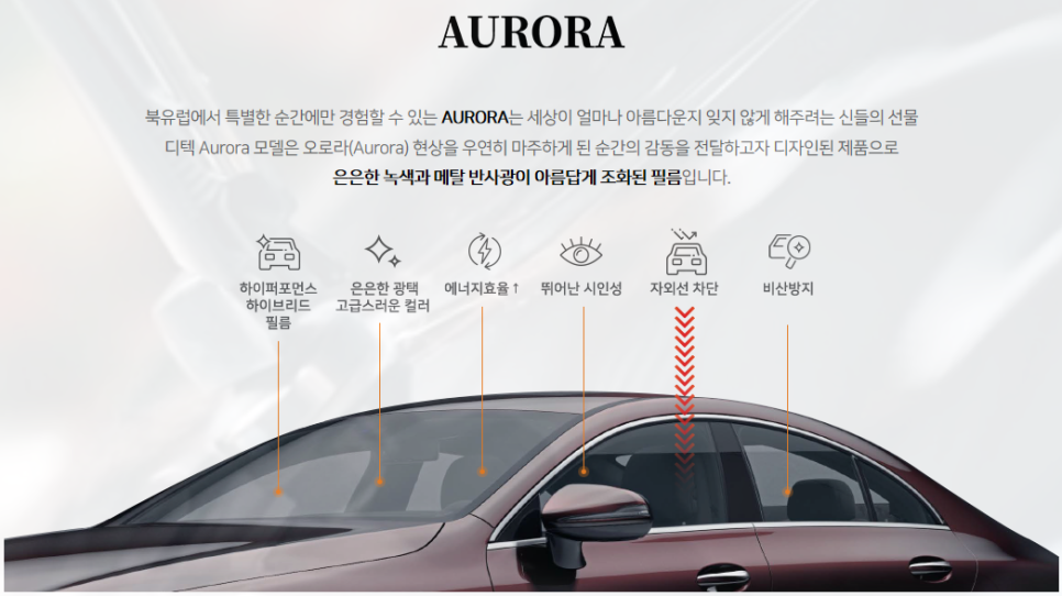 디텍 이미지