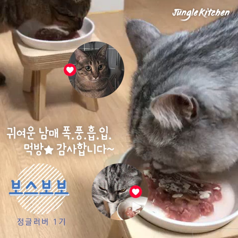 보보네 이미지