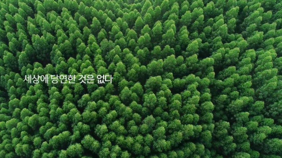 태양광고 이미지