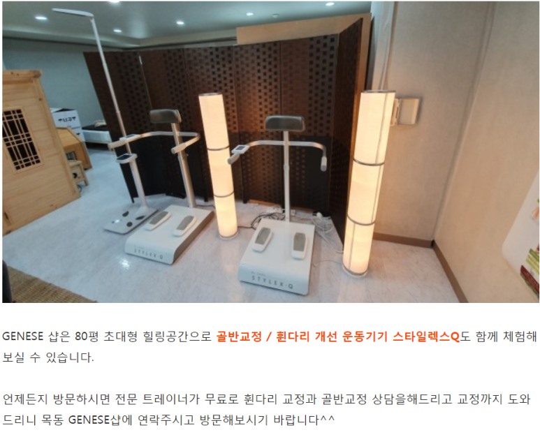 제네스샵 이미지