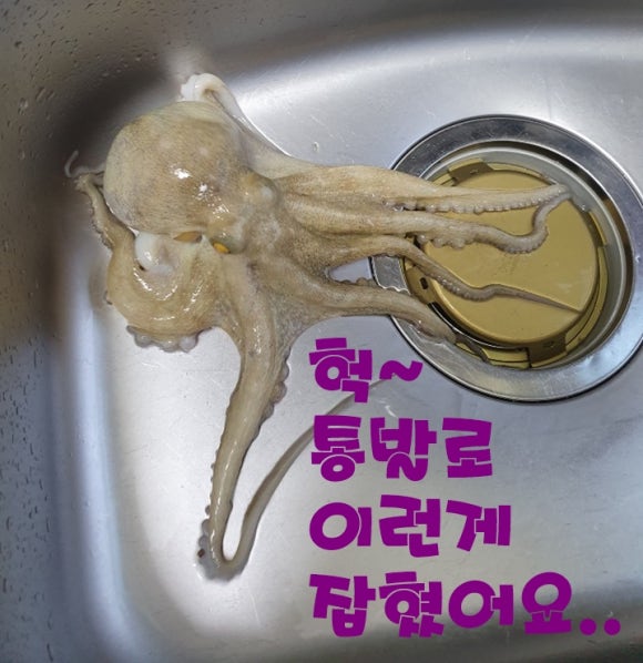 한아식당 이미지