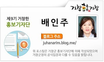 마리856 이미지