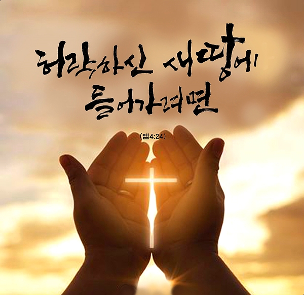 광성만물 이미지