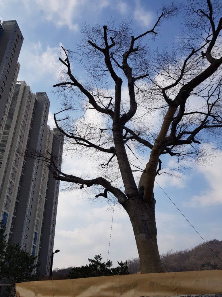향동스토리 이미지
