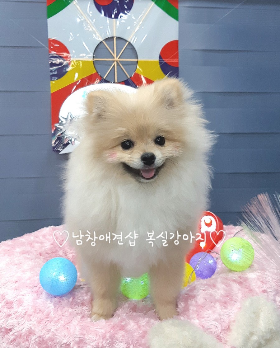 이쁘니미용실 이미지