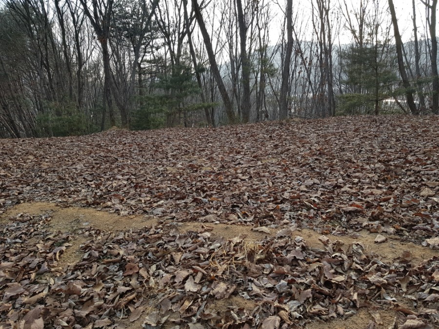 조이동산 이미지