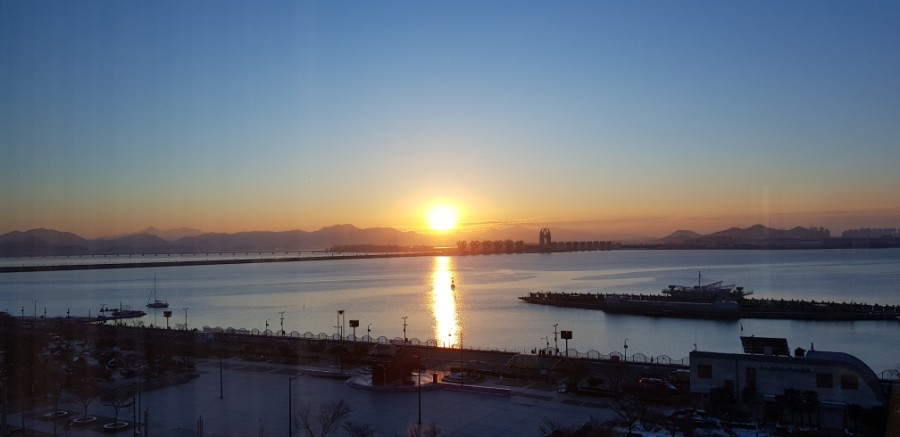 돈돼지복돼지 이미지