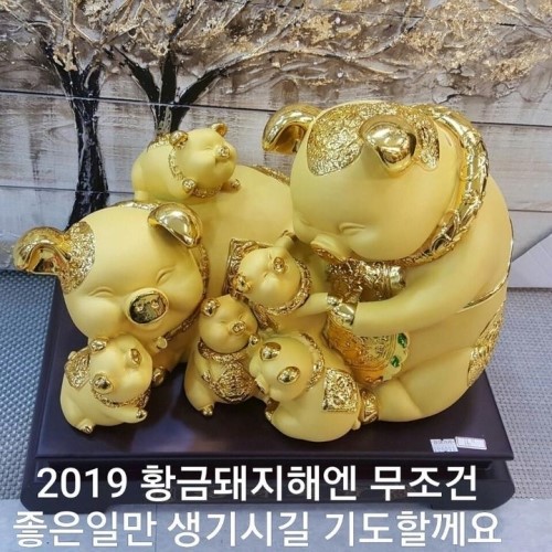 돼지꿀단지 이미지