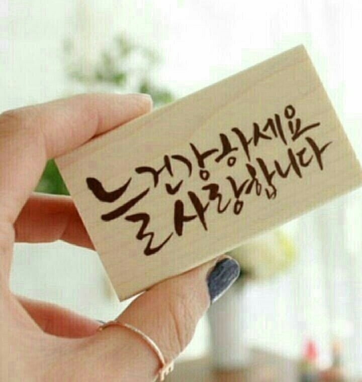 레더플러스 이미지
