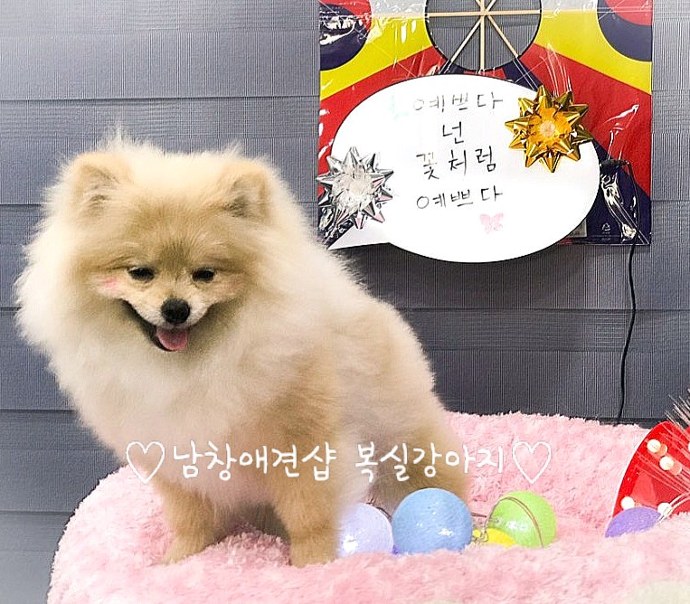 이쁘니미용실 이미지