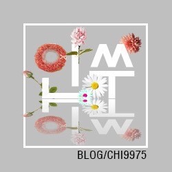 보미사 이미지