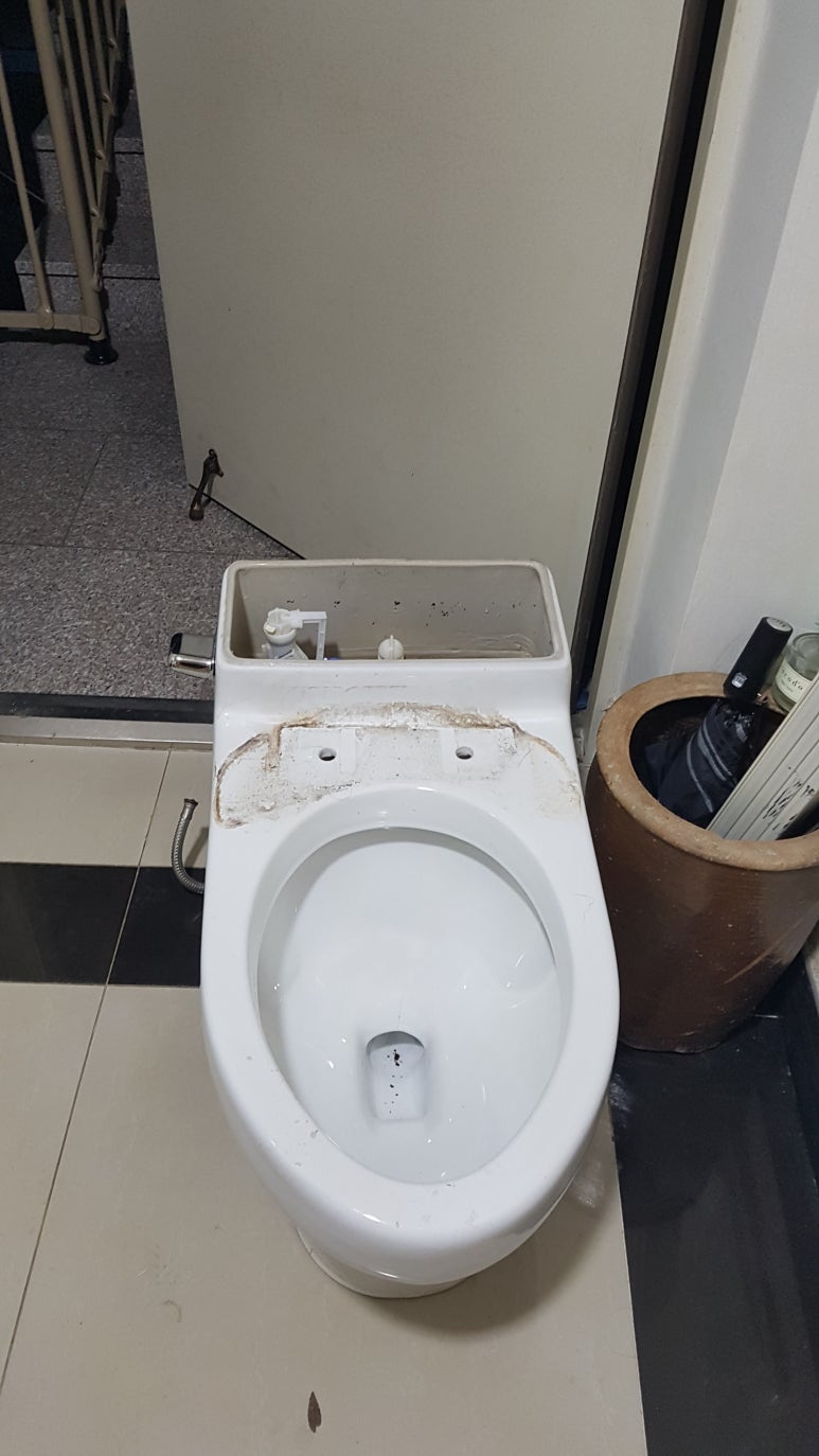 이코컴퍼니 이미지