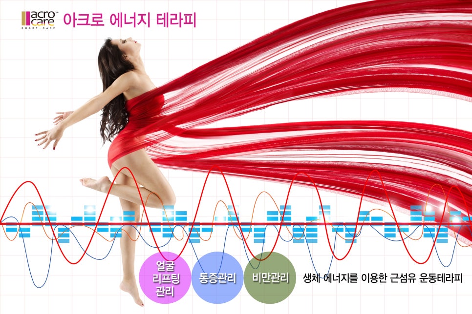경혈테라피 이미지