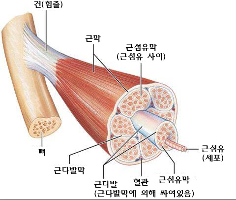 새부산스포츠 이미지