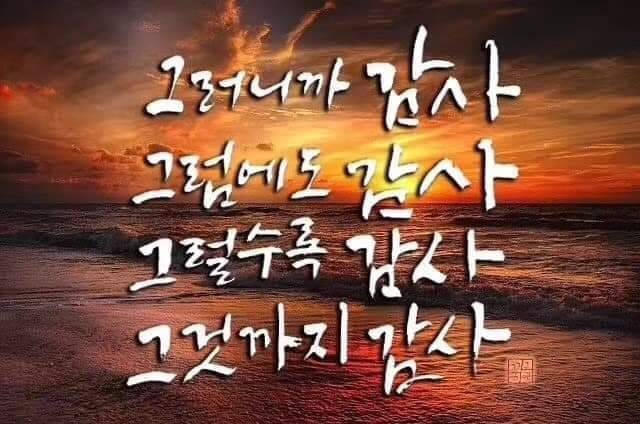 사단법인 효림복지센터 이미지