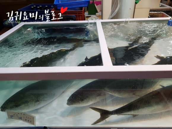 수암할매횟집 이미지