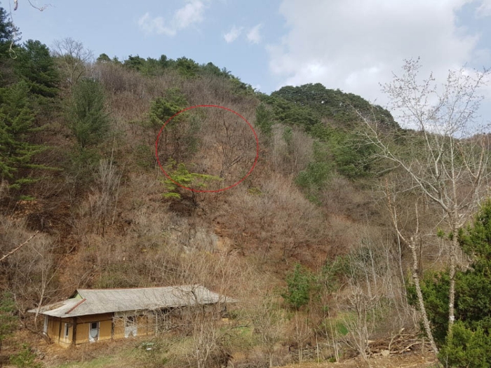 상방림교(상) 이미지