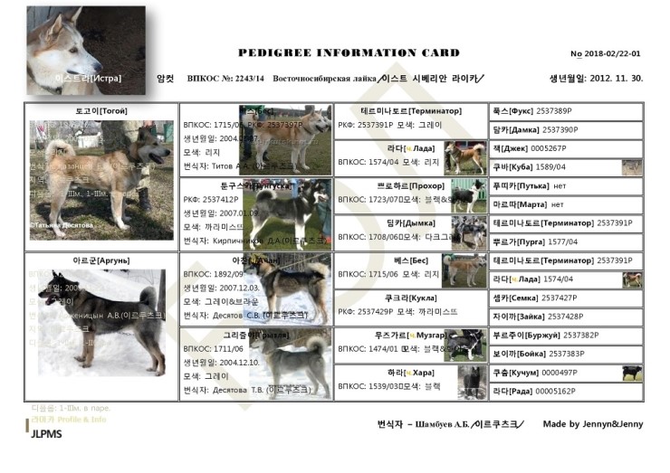 이스트라대구 이미지