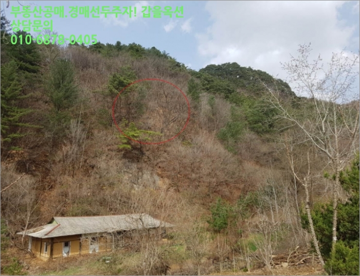상방림교(상) 이미지