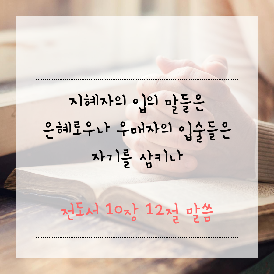 유노이아 이미지
